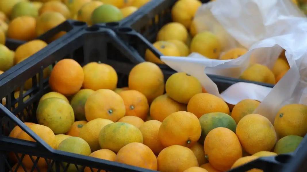 Hatay’da Mandalina Bolluğu: Tarlada Fiyatlar 2 TL’ye Kadar Geriledi 5